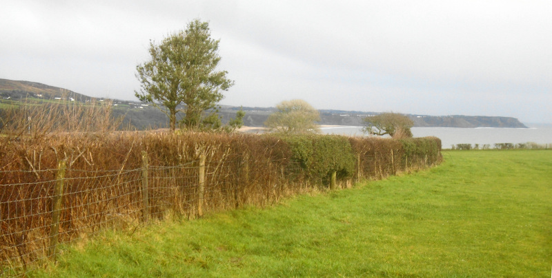 Photograph of Walking Route - Image 12