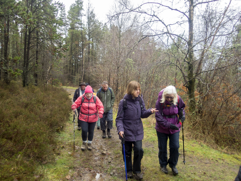 Photograph of Walking Route - Image 9