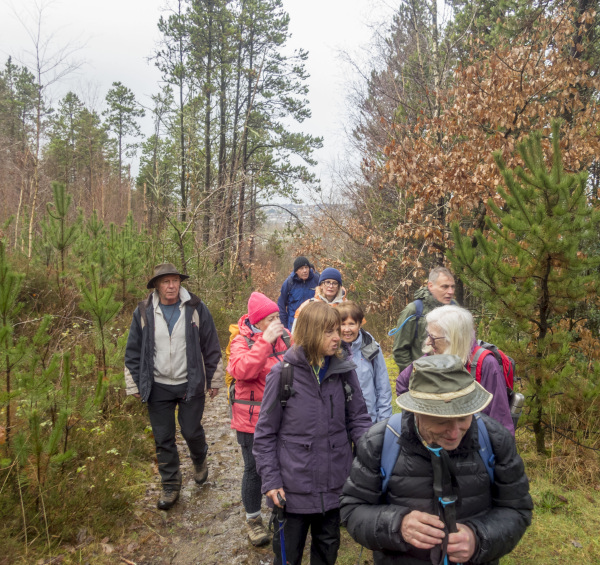 Photograph of Walking Route - Image 10