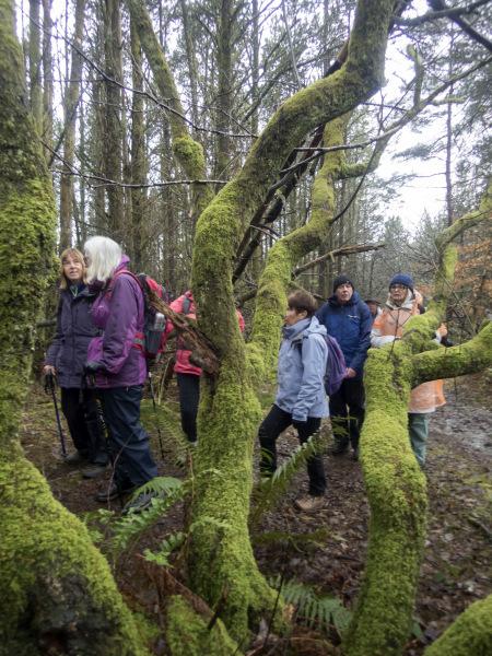 Photograph of Walking Route - Image 11