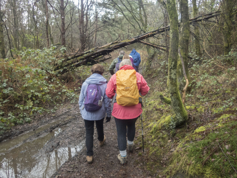 Photograph of Walking Route - Image 12