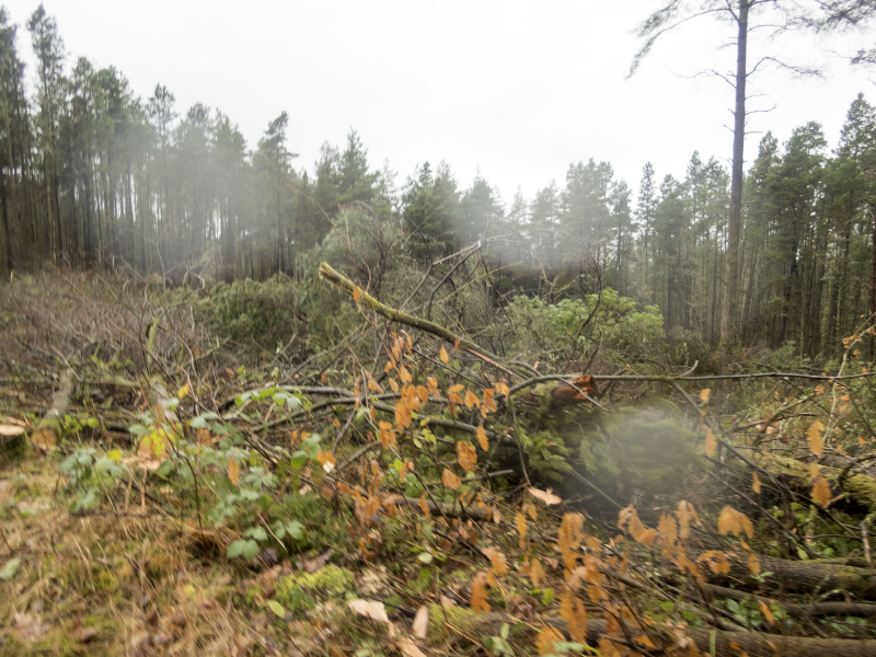 Photograph of Walking Route - Image 18
