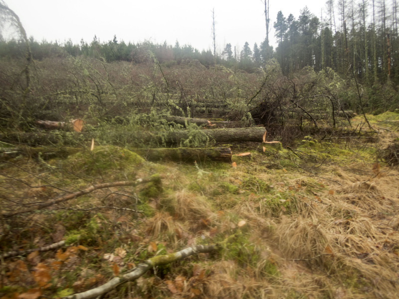 Photograph of Walking Route - Image 19