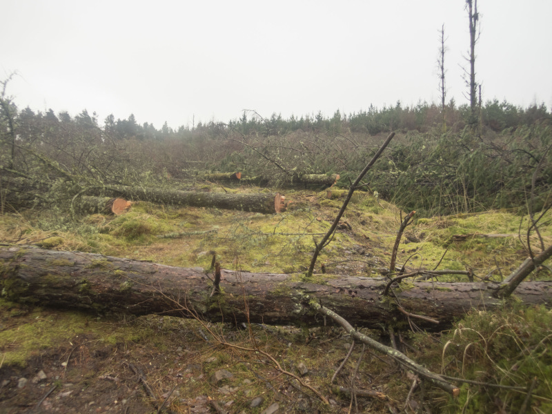 Photograph of Walking Route - Image 20