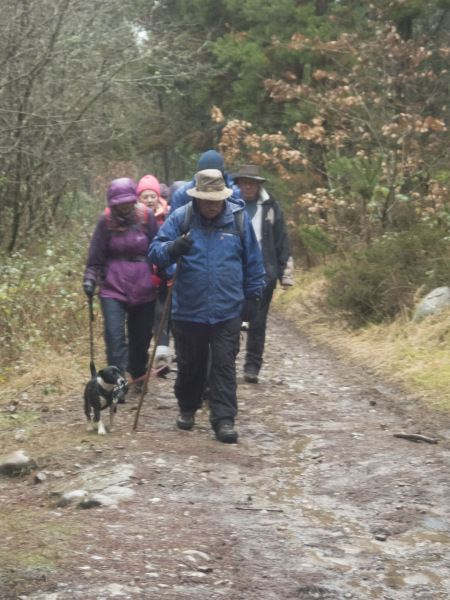 Photograph of Walking Route - Image 21