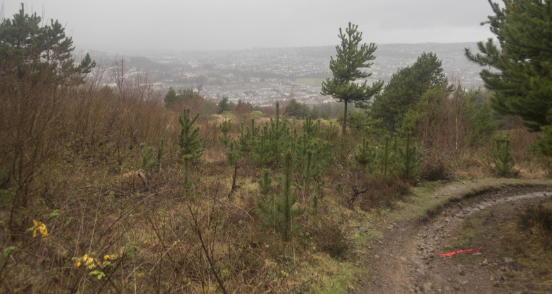 Photograph of Walking Route - Image 22