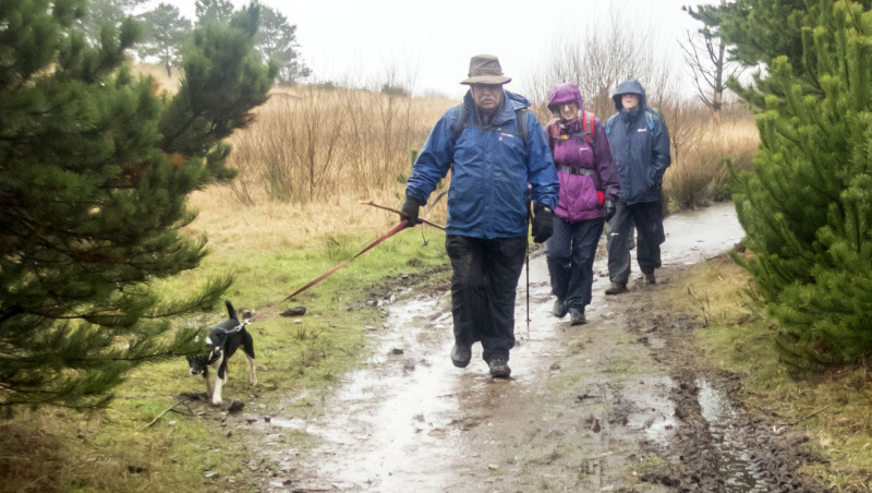 Photograph of Walking Route - Image 25