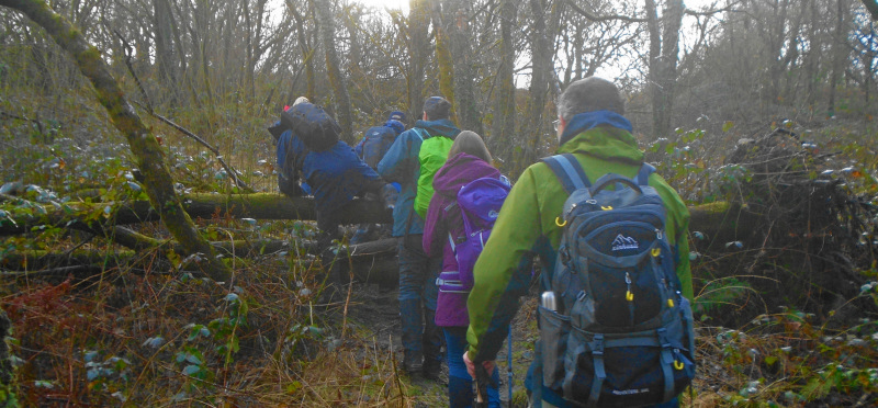 Photograph of Walking Route - Image 4