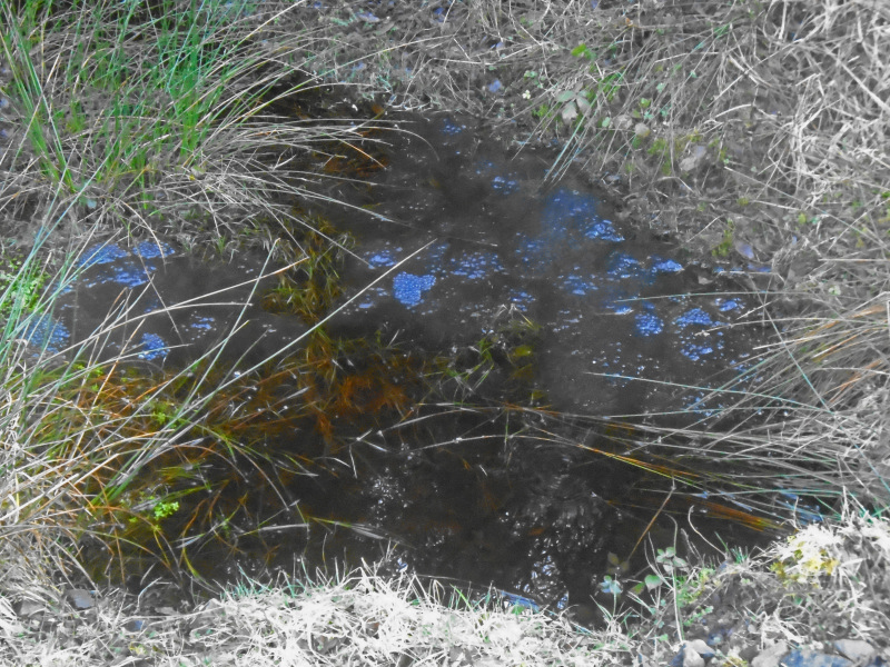 Photograph of Walking Route - Image 8