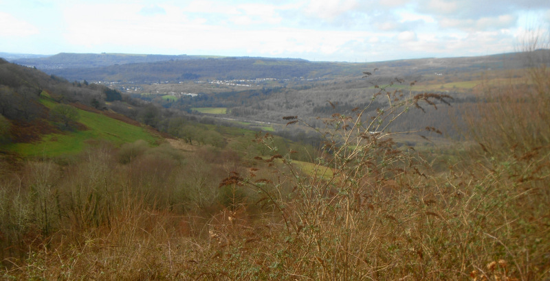Photograph of Walking Route - Image 9