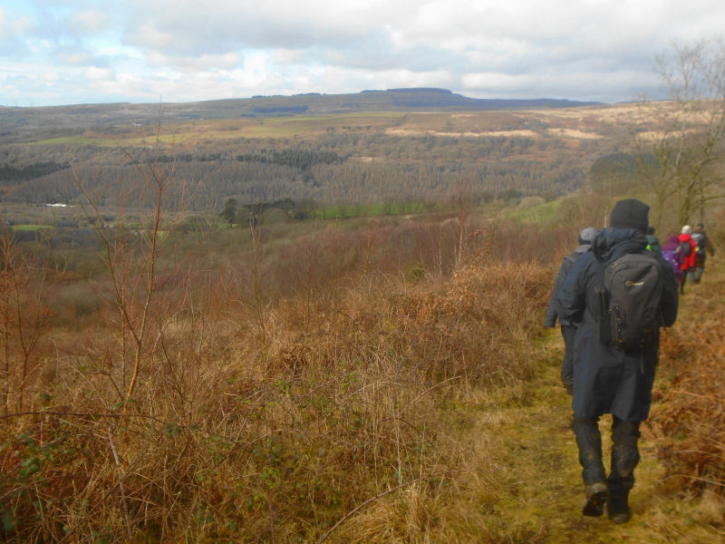 Photograph of Walking Route - Image 10