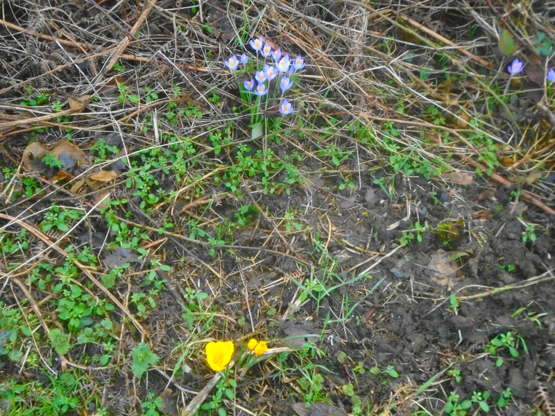 Photograph of Walking Route - Image 13