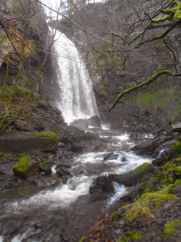 Photograph of Walking Route - Image 20