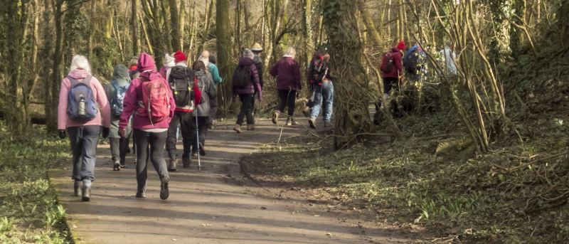 Photograph of Walking Route - Image 7