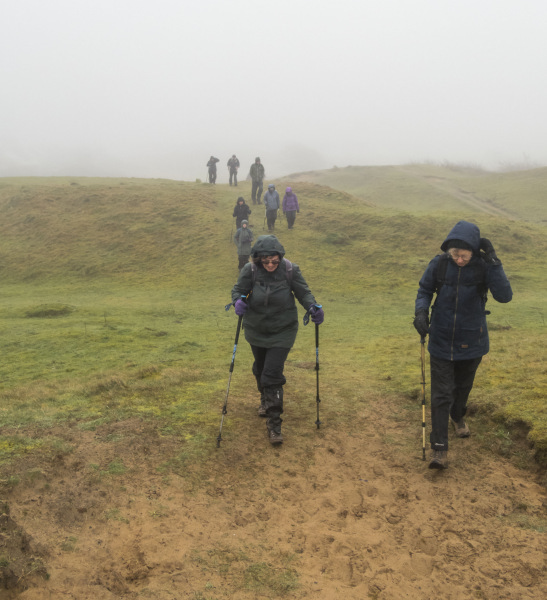 Photograph of Walking Route - Image 4