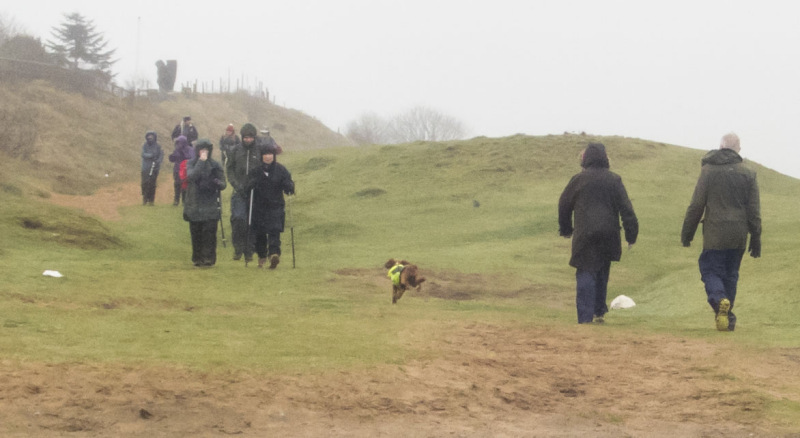 Photograph of Walking Route - Image 6