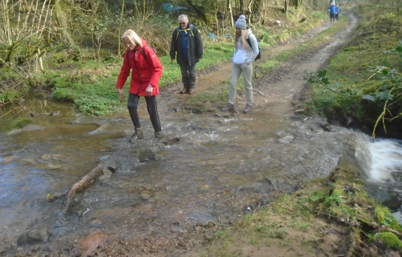 Photograph of Walking Route - Image 7