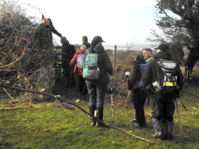 Photograph of Walking Route - Image 9