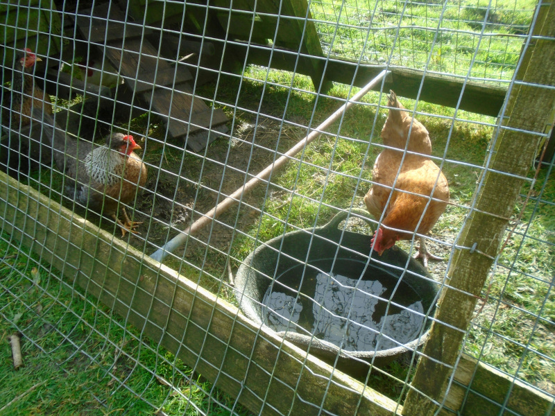 Photograph of Walking Route - Image 12