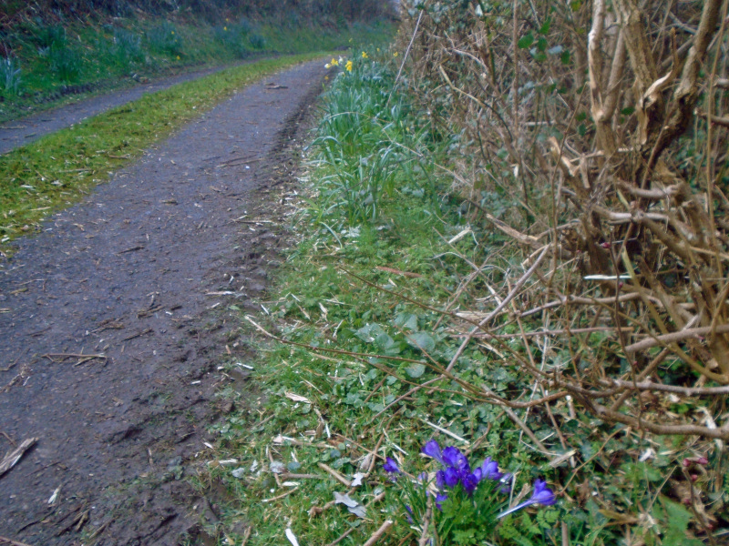 Photograph of Walking Route - Image 13