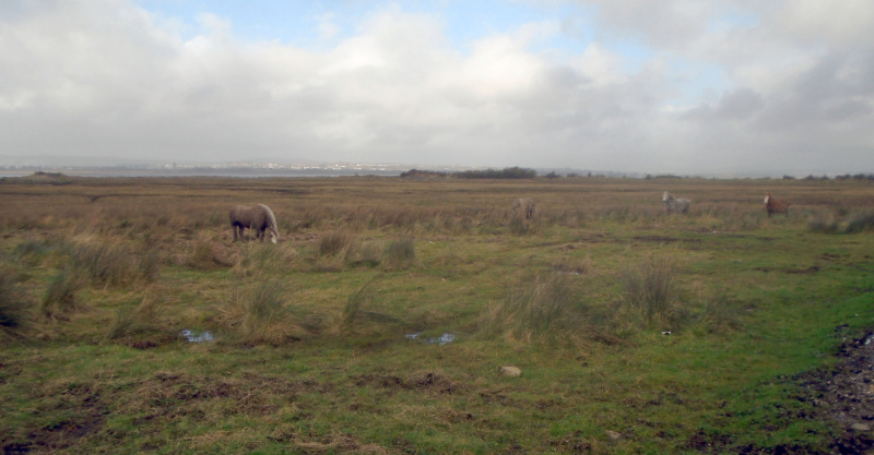 Photograph of Walking Route - Image 15