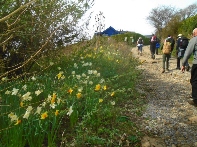 Photograph of Walking Route - Image 6