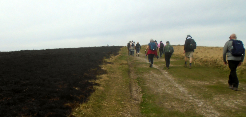 Photograph of Walking Route - Image 10
