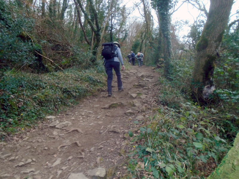 Photograph of Walking Route - Image 14