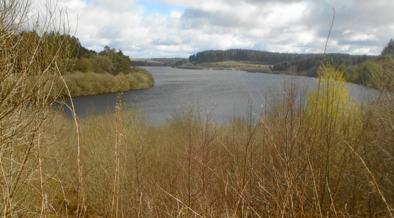 Photograph of Walking Route - Image 2