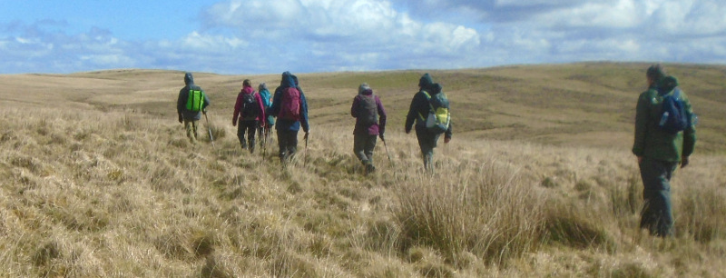 Photograph of Walking Route - Image 4