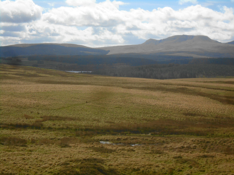 Photograph of Walking Route - Image 7