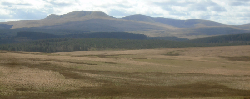 Photograph of Walking Route - Image 9