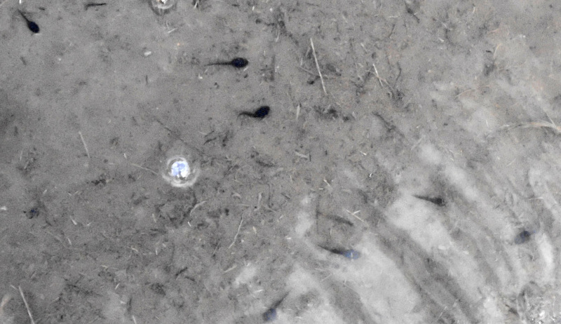 Photograph of Walking Route - Image 14