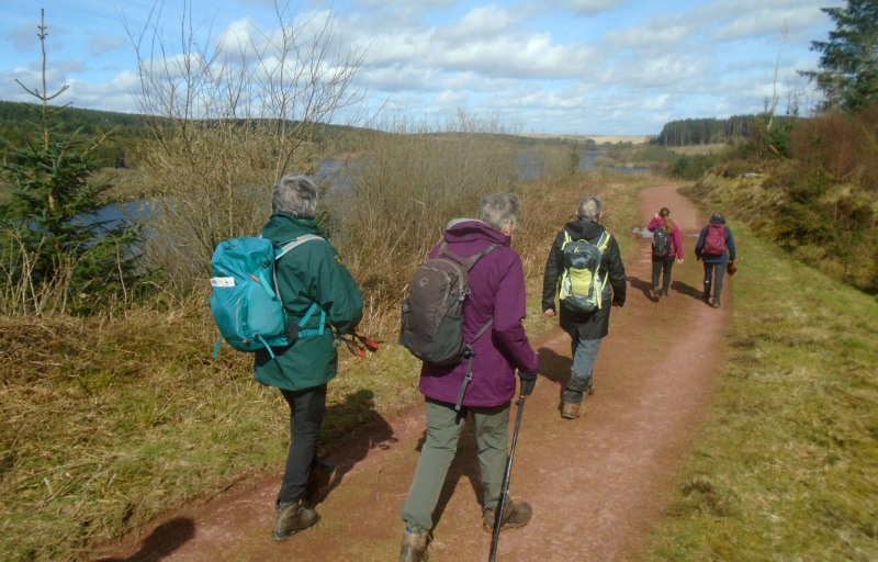 Photograph of Walking Route - Image 18