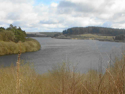 usk-reservoir walk