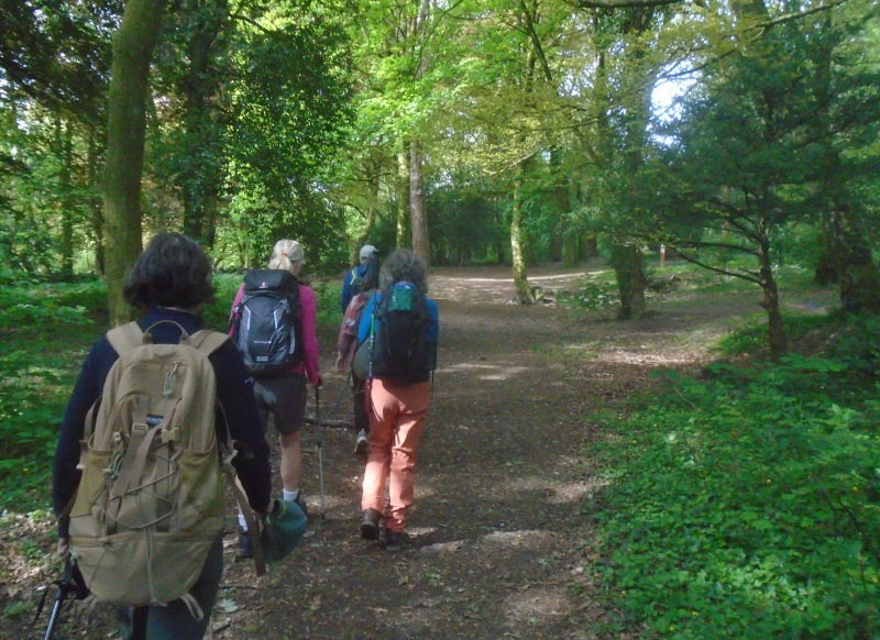 Photograph of Walking Route - Image 2
