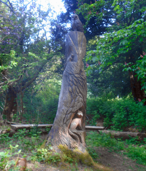 Photograph of Walking Route - Image 3