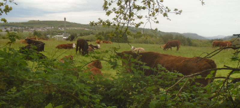 Photograph of Walking Route - Image 19