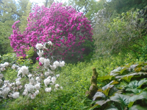 Photograph of Walking Route - Image 7