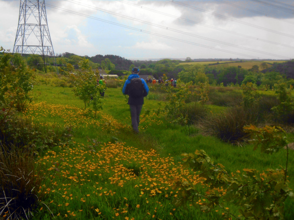 Photograph of Walking Route - Image 11