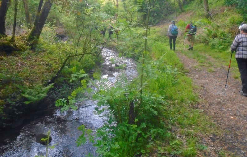 Photograph of Walking Route - Image 13
