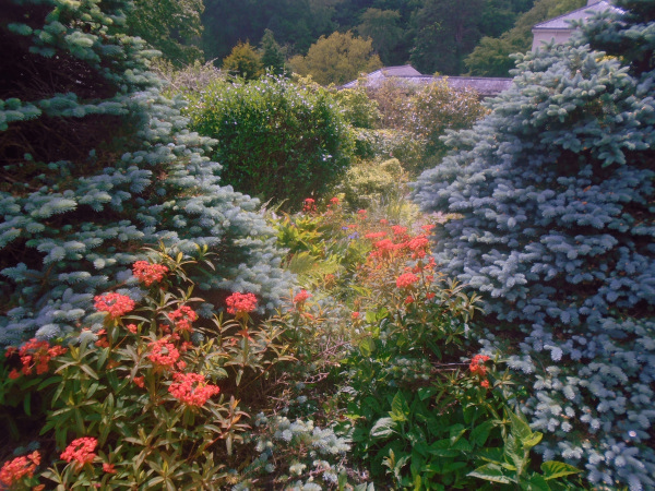 Photograph of Walking Route - Image 17