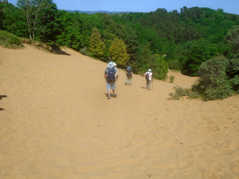 Photograph of Walking Route - Image 28