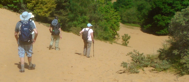 Photograph of Walking Route - Image 29