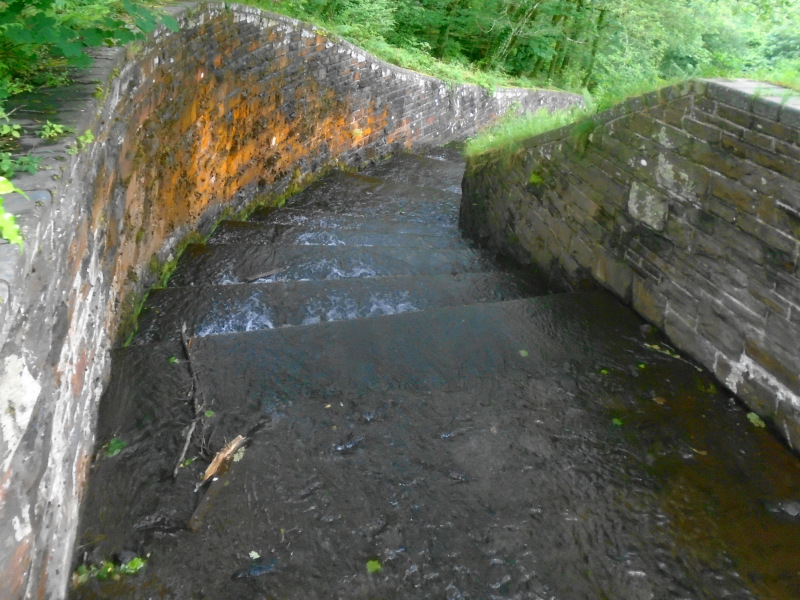 Photograph of Walking Route - Image 8