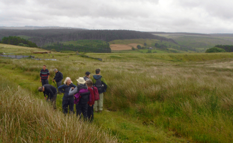 Photograph of Walking Route - Image 12
