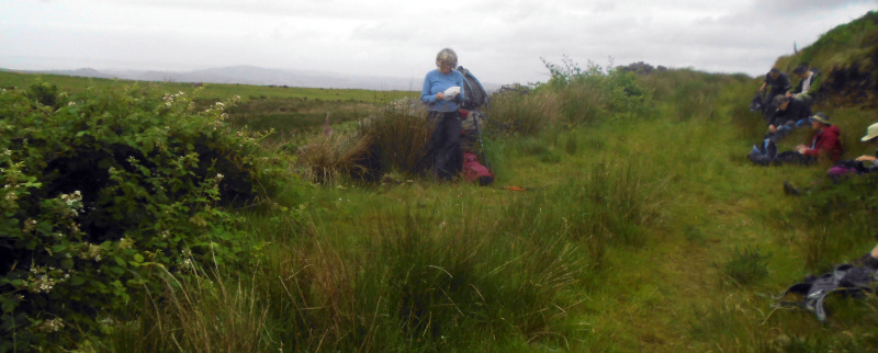 Photograph of Walking Route - Image 14
