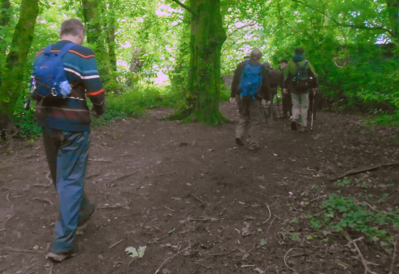 Photograph of Walking Route - Image 15