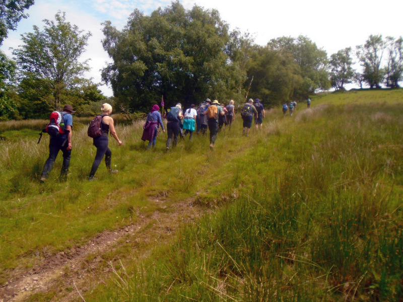 Photograph of Walking Route - Image 7