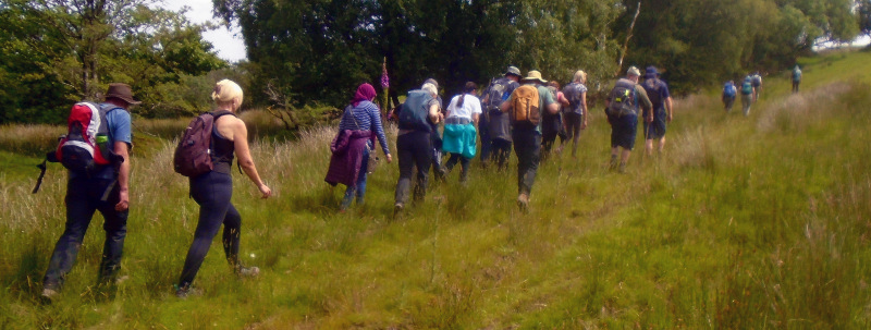 Photograph of Walking Route - Image 8